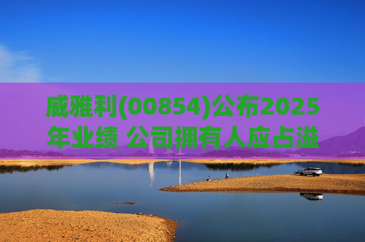 威雅利(00854)公布2025年业绩 公司拥有人应占溢利5095.8万港元