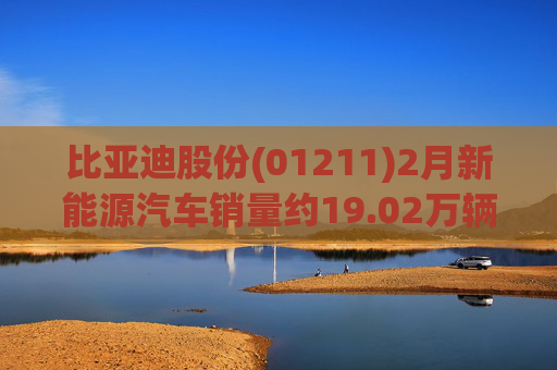 比亚迪股份(01211)2月新能源汽车销量约19.02万辆