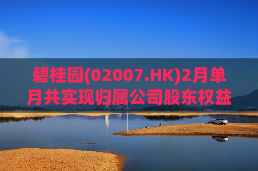 碧桂园(02007.HK)2月单月共实现归属公司股东权益合同销售金额约22.3亿元
