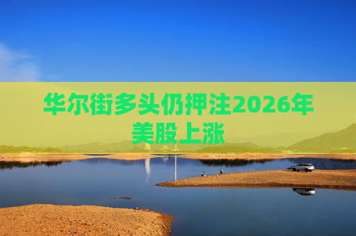 华尔街多头仍押注2026年美股上涨