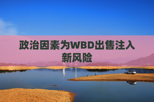 政治因素为WBD出售注入新风险