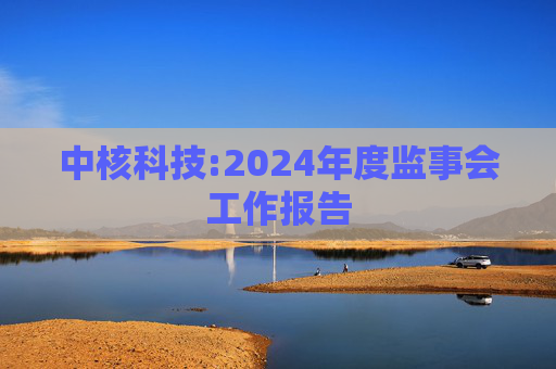 中核科技:2024年度监事会工作报告