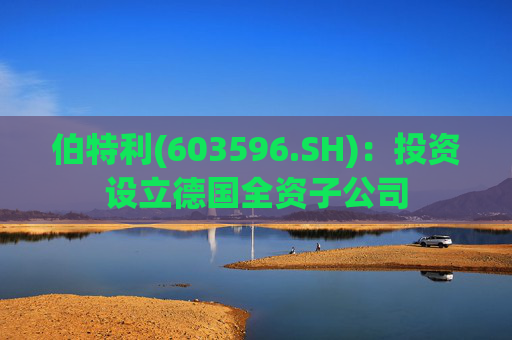 伯特利(603596.SH)：投资设立德国全资子公司