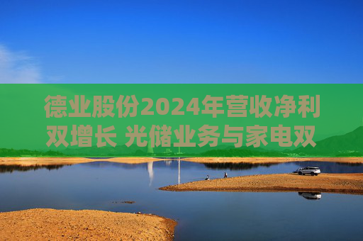 德业股份2024年营收净利双增长 光储业务与家电双轮驱动发力