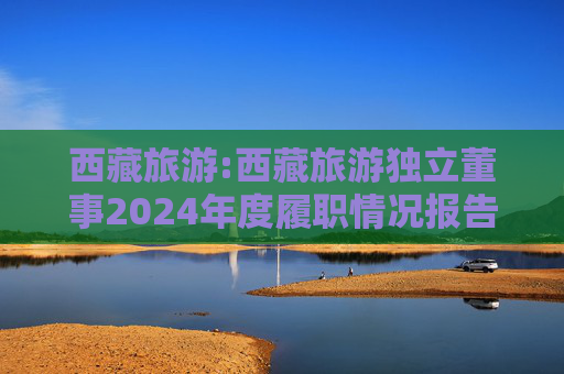 西藏旅游:西藏旅游独立董事2024年度履职情况报告（高金波）
