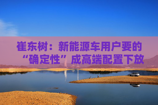 崔东树：新能源车用户要的“确定性”成高端配置下放关键