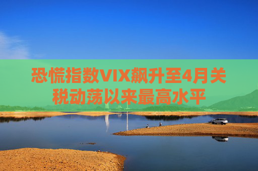 恐慌指数VIX飙升至4月关税动荡以来最高水平