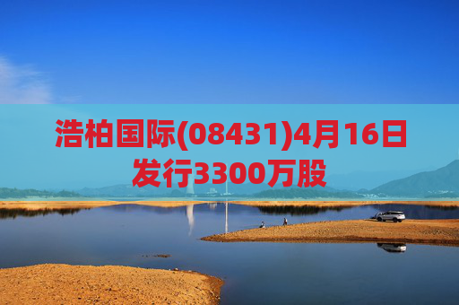 浩柏国际(08431)4月16日发行3300万股