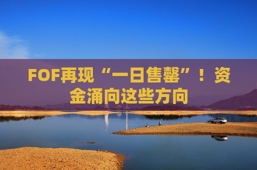 FOF再现“一日售罄”！资金涌向这些方向  第1张