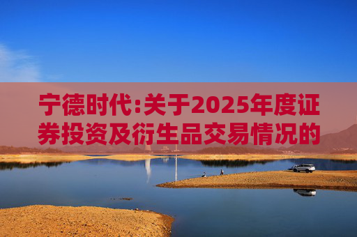 宁德时代:关于2025年度证券投资及衍生品交易情况的专项说明
