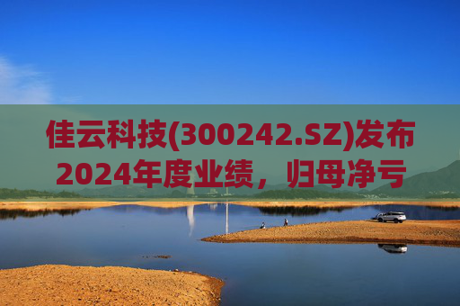 佳云科技(300242.SZ)发布2024年度业绩，归母净亏损1.06亿元，扩大10.93%