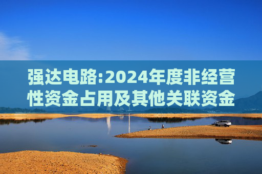 强达电路:2024年度非经营性资金占用及其他关联资金往来情况汇总表