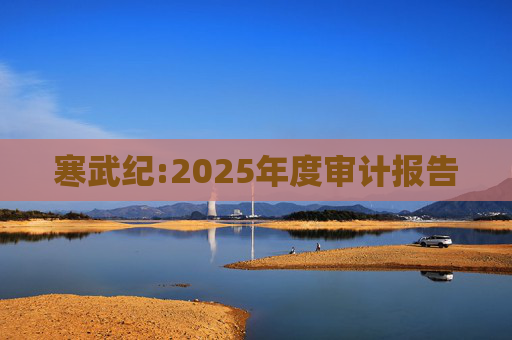 寒武纪:2025年度审计报告