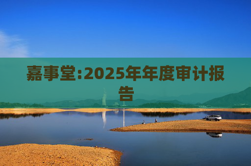 嘉事堂:2025年年度审计报告