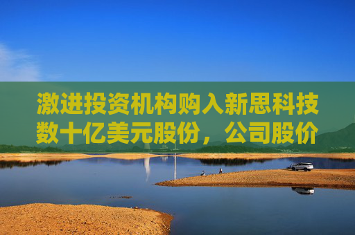 激进投资机构购入新思科技数十亿美元股份，公司股价大涨