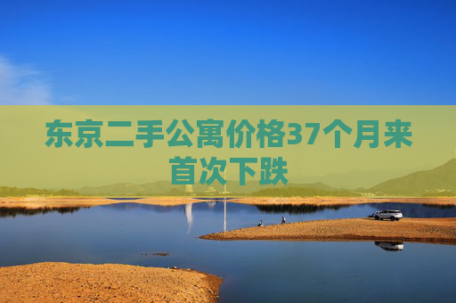 东京二手公寓价格37个月来首次下跌