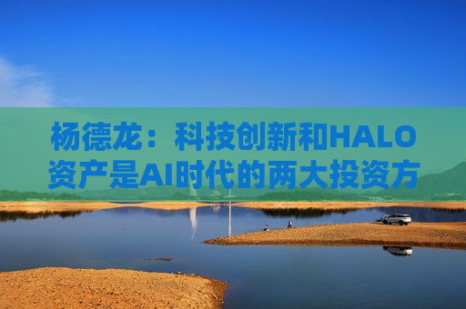 杨德龙：科技创新和HALO资产是AI时代的两大投资方向