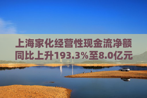 上海家化经营性现金流净额同比上升193.3%至8.0亿元