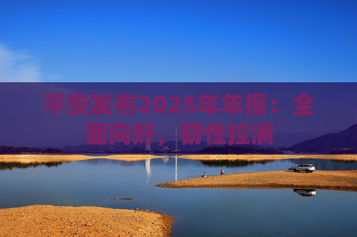 平安发布2025年年报：全面向好，韧性拉满