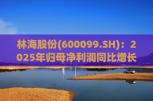 林海股份(600099.SH)：2025年归母净利润同比增长33.24%，每股拟派利0.045元