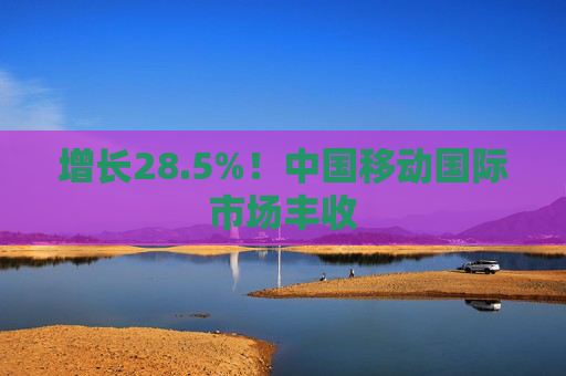 增长28.5%！中国移动国际市场丰收