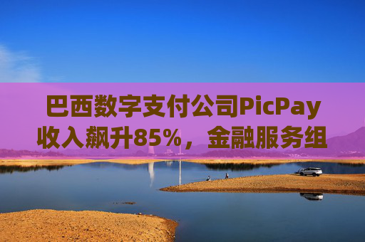 巴西数字支付公司PicPay收入飙升85%，金融服务组合持续扩大
