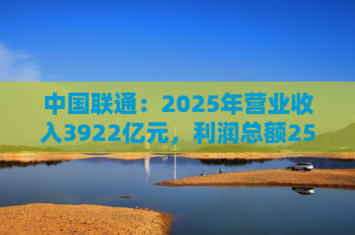 中国联通：2025年营业收入3922亿元，利润总额253亿元