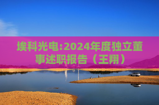埃科光电:2024年度独立董事述职报告（王翔）