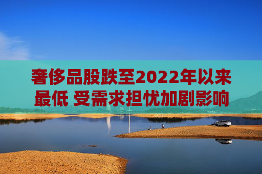 奢侈品股跌至2022年以来最低 受需求担忧加剧影响