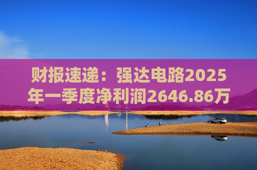 财报速递:强达电路2025年一季度净利润2646.86万元