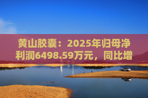 黄山胶囊：2025年归母净利润6498.59万元，同比增长31.94%