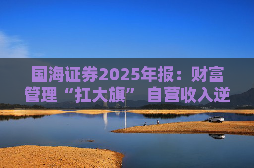 国海证券2025年报：财富管理“扛大旗” 自营收入逆势大降 投行收入占比仅2%