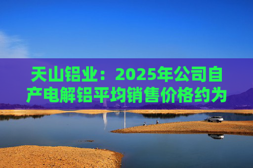 天山铝业：2025年公司自产电解铝平均销售价格约为20600元/吨