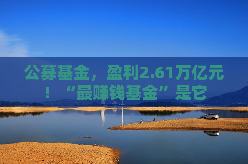 公募基金,盈利2.61万亿元!“最赚钱基金”是它 第1张 公募基金,盈利2.61万亿元!“最赚钱基金”是它 第1张