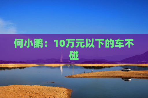何小鹏：10万元以下的车不碰