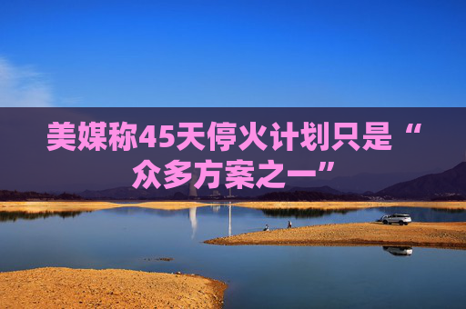 美媒称45天停火计划只是“众多方案之一”