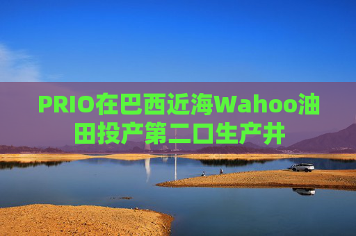 PRIO在巴西近海Wahoo油田投产第二口生产井
