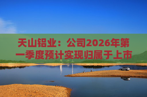 天山铝业：公司2026年第一季度预计实现归属于上市公司股东的净利润220000万元