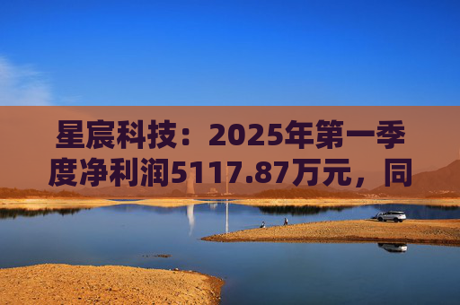 星宸科技:2025年第一季度净利润5117.87万元,同比增长0.48%