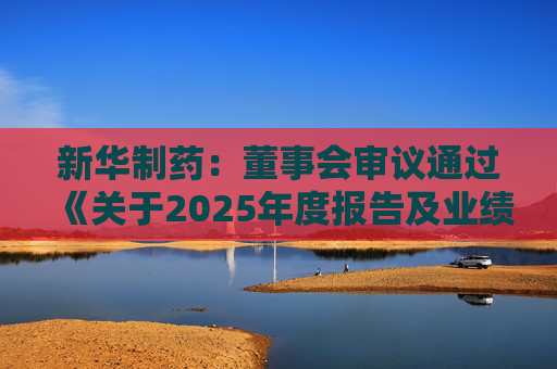 新华制药：董事会审议通过《关于2025年度报告及业绩公告的议案》等多项议案