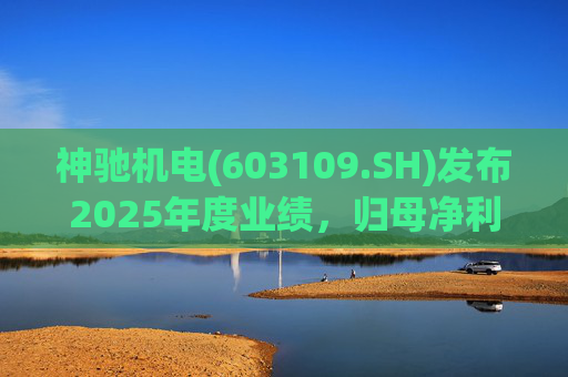 神驰机电(603109.SH)发布2025年度业绩，归母净利润1.34亿元，同比下降30.94%
