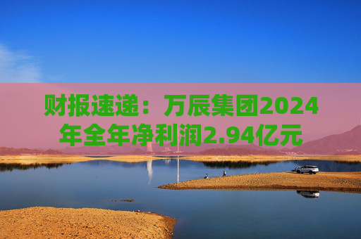 财报速递：万辰集团2024年全年净利润2.94亿元