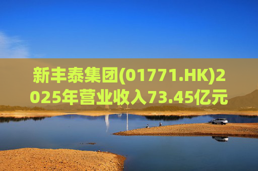 新丰泰集团(01771.HK)2025年营业收入73.45亿元，同比下降14.7%