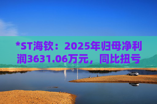 *ST海钦：2025年归母净利润3631.06万元，同比扭亏为盈