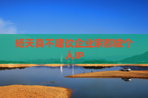 杨天真不建议企业家都做个人IP