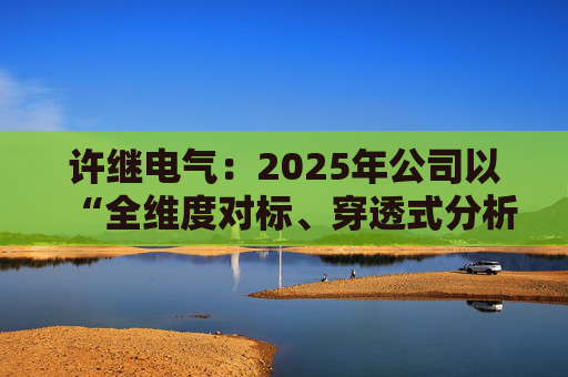 许继电气：2025年公司以“全维度对标、穿透式分析、动态化管控”为核心