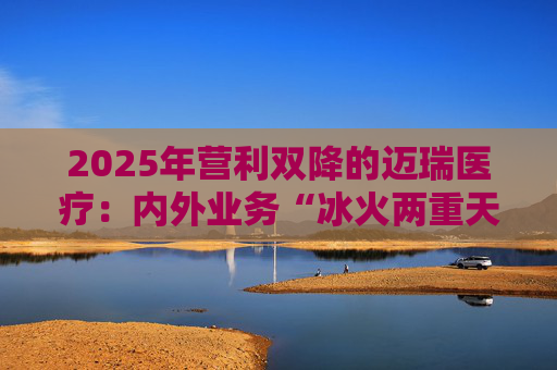 2025年营利双降的迈瑞医疗：内外业务“冰火两重天”