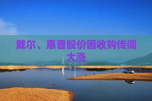 戴尔、惠普股价因收购传闻大涨 第1张 戴尔、惠普股价因收购传闻大涨 第1张