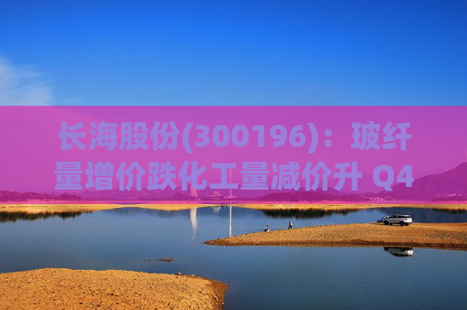 长海股份(300196):玻纤量增价跌化工量减价升 Q4业绩同比显著修复