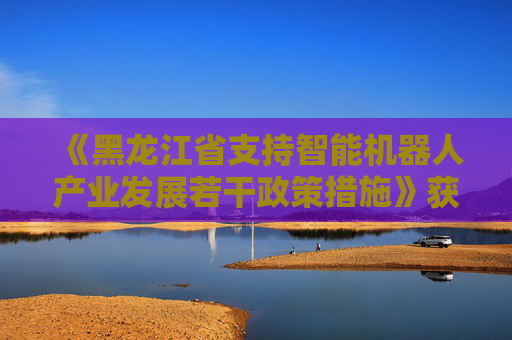 《黑龙江省支持智能机器人产业发展若干政策措施》获审议通过  第1张